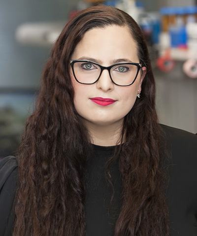 Yael David
